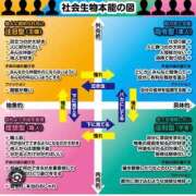 ヒメ日記 2026/02/06 11:08 投稿 Chiaki　Arima ELEGANT－エレガント－