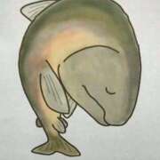 ヒメ日記 2026/03/08 00:30 投稿 Chiaki　Arima ELEGANT－エレガント－