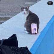 ヒメ日記 2026/04/15 00:30 投稿 Chiaki　Arima ELEGANT－エレガント－