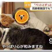 ヒメ日記 2026/05/05 00:59 投稿 Chiaki　Arima ELEGANT－エレガント－