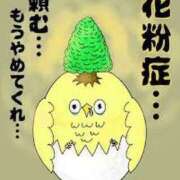 ヒメ日記 2026/05/06 00:15 投稿 Chiaki　Arima ELEGANT－エレガント－