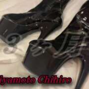 ヒメ日記 2024/12/08 15:59 投稿 宮本 BBW（ビッグビューティフルウーマン）