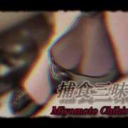 ヒメ日記 2025/04/06 16:29 投稿 宮本 BBW（ビッグビューティフルウーマン）