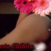 ヒメ日記 2025/06/17 13:36 投稿 宮本 BBW（ビッグビューティフルウーマン）