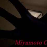 ヒメ日記 2025/07/29 15:39 投稿 宮本 BBW（ビッグビューティフルウーマン）