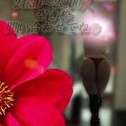 ヒメ日記 2025/08/08 13:13 投稿 宮本 BBW（ビッグビューティフルウーマン）