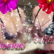 ヒメ日記 2025/08/17 13:39 投稿 宮本 BBW（ビッグビューティフルウーマン）