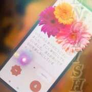 ヒメ日記 2025/11/08 13:29 投稿 宮本 BBW（ビッグビューティフルウーマン）