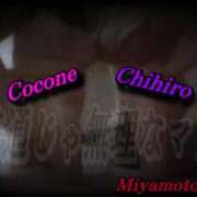 ヒメ日記 2025/12/08 13:39 投稿 宮本 BBW（ビッグビューティフルウーマン）