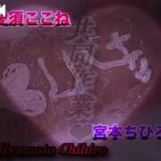 ヒメ日記 2026/02/18 16:05 投稿 宮本 BBW（ビッグビューティフルウーマン）