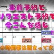 ヒメ日記 2026/02/20 00:39 投稿 宮本 BBW（ビッグビューティフルウーマン）