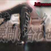 ヒメ日記 2026/02/28 13:37 投稿 宮本 BBW（ビッグビューティフルウーマン）