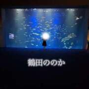 ヒメ日記 2025/02/18 09:01 投稿 鶴田　ののか エテルナ京都