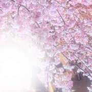 ヒメ日記 2025/04/11 08:51 投稿 鶴田　ののか エテルナ京都