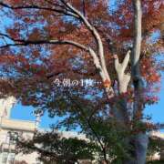 ヒメ日記 2025/11/20 10:36 投稿 鶴田　ののか エテルナ京都