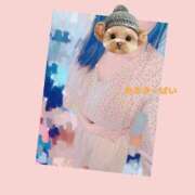 ヒメ日記 2025/05/14 11:44 投稿 わかな ミルキーパイ