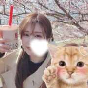 ヒメ日記 2026/03/29 12:48 投稿 ゆき 東京アロマスタイル