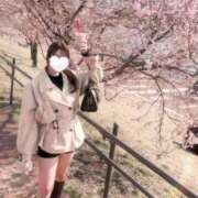 ヒメ日記 2026/04/17 14:18 投稿 ゆき 東京アロマスタイル