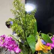 ヒメ日記 2026/03/02 07:44 投稿 ようこ 即アポ奥さん ～津・松阪店～