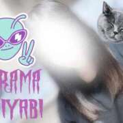 ヒメ日記 2025/12/03 17:33 投稿 みやび DRAMA（ドラマ）