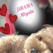 ヒメ日記 2026/01/22 23:49 投稿 みやび DRAMA（ドラマ）