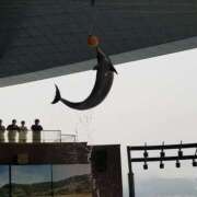 ヒメ日記 2026/01/25 13:08 投稿 みさきさん(清楚な人妻セラピスト！！) 性感エステ アロマミッシェル Aroma Michell