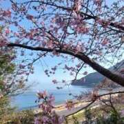 ヒメ日記 2026/02/19 18:48 投稿 みさきさん(清楚な人妻セラピスト！！) 性感エステ アロマミッシェル Aroma Michell