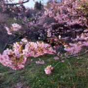 ヒメ日記 2026/02/23 15:42 投稿 みさきさん(清楚な人妻セラピスト！！) 性感エステ アロマミッシェル Aroma Michell