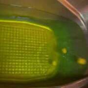 ヒメ日記 2025/12/27 19:46 投稿 りめい ZERO-i