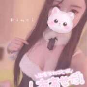 ヒメ日記 2026/04/11 23:16 投稿 りめい ZERO-i