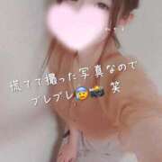 ヒメ日記 2026/04/23 11:26 投稿 りめい ZERO-i