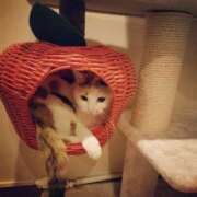 ヒメ日記 2025/02/03 23:00 投稿 千尋（ちひろ） 人妻の蜜