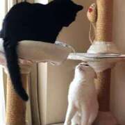 ヒメ日記 2025/02/22 16:15 投稿 千尋（ちひろ） 人妻の蜜