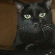 ヒメ日記 2024/12/22 16:35 投稿 みなみ 妻天 京橋店