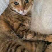 ヒメ日記 2025/03/31 03:03 投稿 みなみ 妻天 京橋店