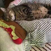 ヒメ日記 2025/04/21 08:53 投稿 みなみ 妻天 京橋店