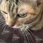 ヒメ日記 2025/06/11 16:52 投稿 みなみ 妻天 京橋店