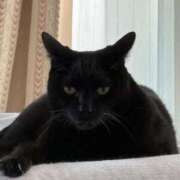 ヒメ日記 2025/06/29 02:58 投稿 みなみ 妻天 京橋店