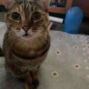 ヒメ日記 2025/07/12 20:04 投稿 みなみ 妻天 京橋店