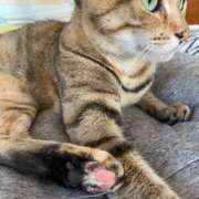 ヒメ日記 2025/07/20 02:21 投稿 みなみ 妻天 京橋店