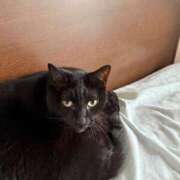 ヒメ日記 2025/08/08 17:12 投稿 みなみ 妻天 京橋店