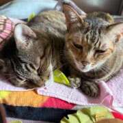 ヒメ日記 2025/09/19 15:58 投稿 みなみ 妻天 京橋店