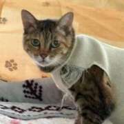 ヒメ日記 2025/09/25 15:38 投稿 みなみ 妻天 京橋店