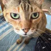 ヒメ日記 2025/09/29 22:08 投稿 みなみ 妻天 京橋店