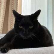 ヒメ日記 2025/10/05 16:28 投稿 みなみ 妻天 京橋店