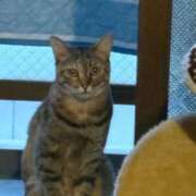 ヒメ日記 2025/10/16 07:38 投稿 みなみ 妻天 京橋店