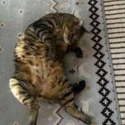 ヒメ日記 2025/12/07 16:38 投稿 みなみ 妻天 京橋店