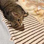 ヒメ日記 2025/12/12 15:38 投稿 みなみ 妻天 京橋店