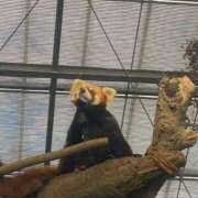 ヒメ日記 2025/12/15 16:58 投稿 みなみ 妻天 京橋店