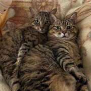 ヒメ日記 2025/12/19 17:00 投稿 みなみ 妻天 京橋店